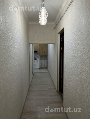 Yalangoch Zolotarenkoning fotosurati